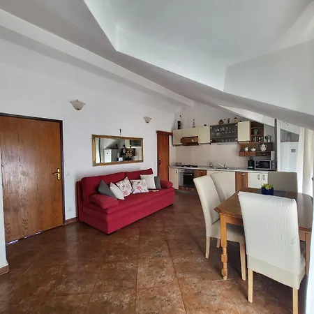 Viky * Примоштен