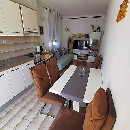 Apartment Viky *
