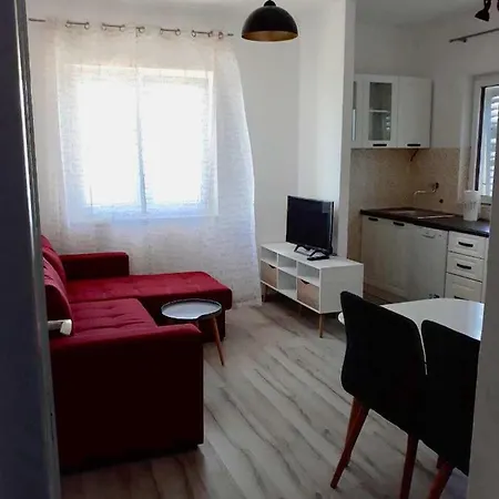 Apartment Viky *